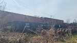 CO 31527